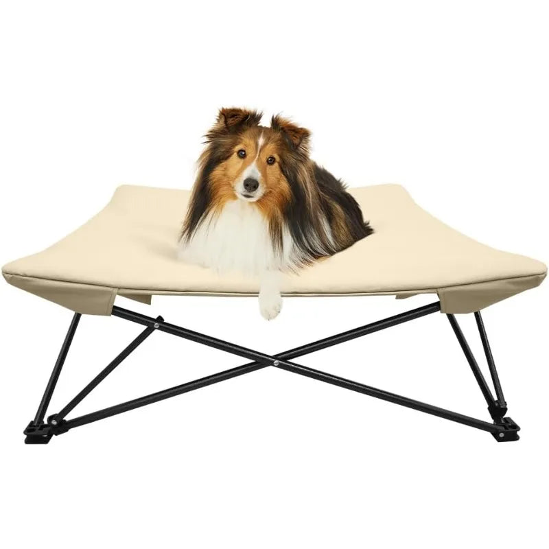 Two Heights In One Dog Bed Cot